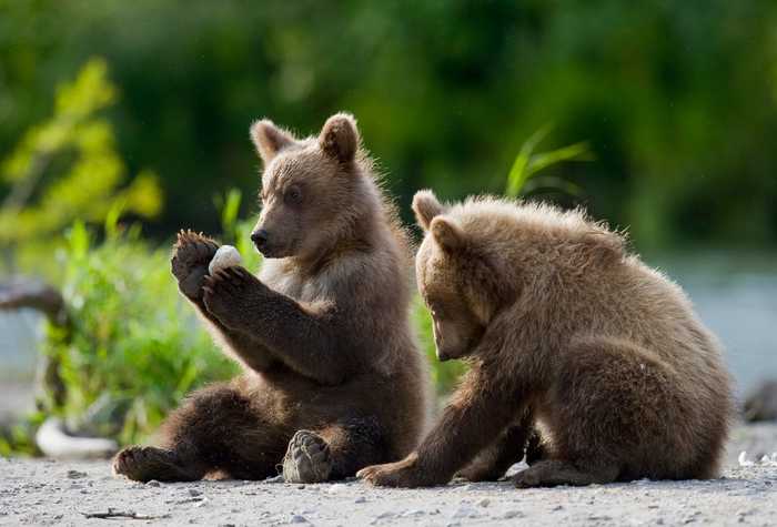 "����� �������!"