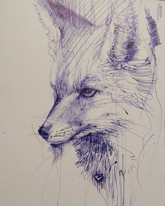 Sketch - My, Sketch, Sketch, Drawing, Pen drawing, Graphics, Fox, Animals, Animalistics