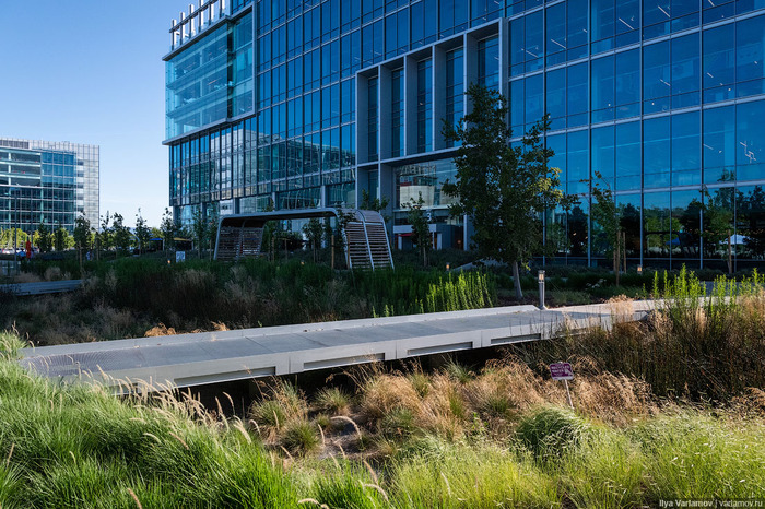 Самый крутой офис "Гугл": не работа, а курорт Google, Калифорния, Кремниевая Долина, Офис, США, Сан-Хосе, Длиннопост