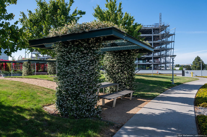 Самый крутой офис "Гугл": не работа, а курорт Google, Калифорния, Кремниевая Долина, Офис, США, Сан-Хосе, Длиннопост