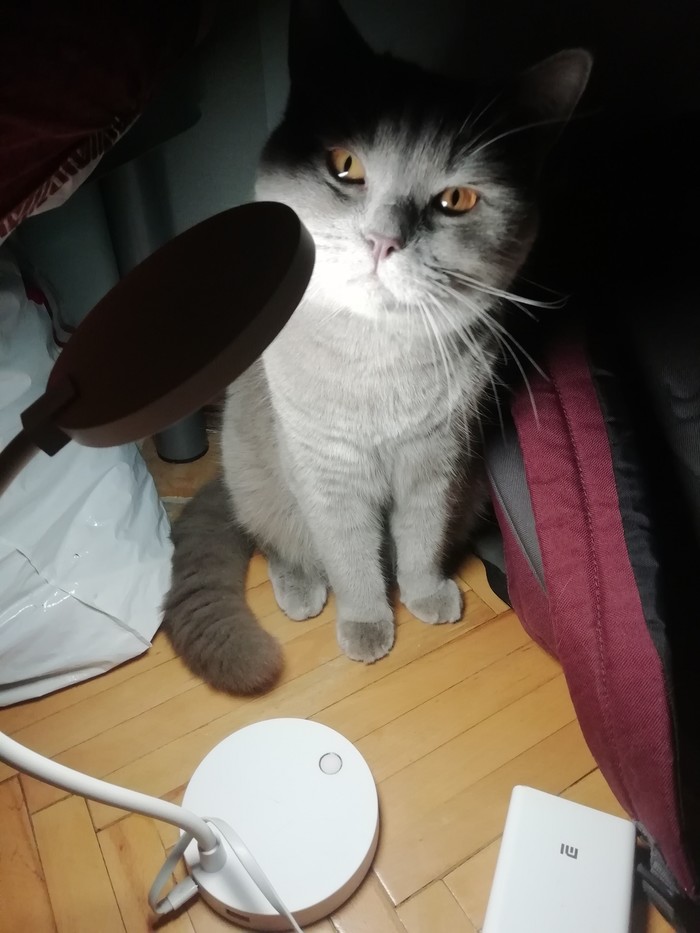    , , , 