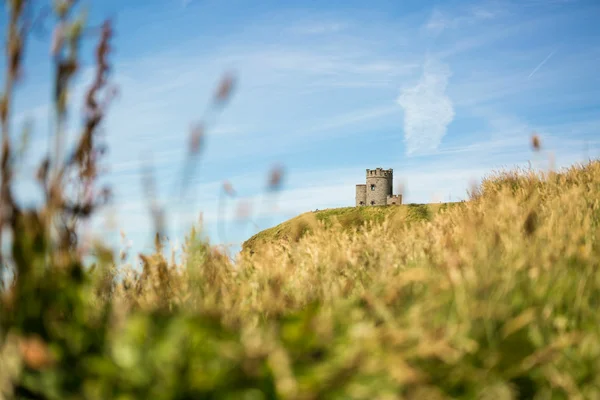 In the Footsteps of Harry Potter: Cliffs of Moher - Travels, Tourism, Peace, Harry Potter, Planet, Vacation, Relaxation, Interesting, Longpost