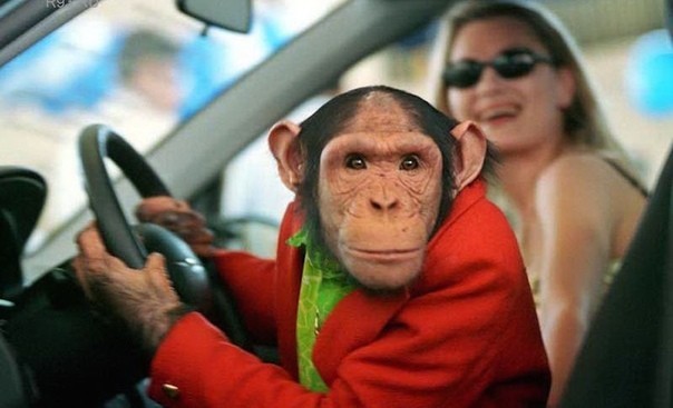 Лучший инструктор вождения во вселенной