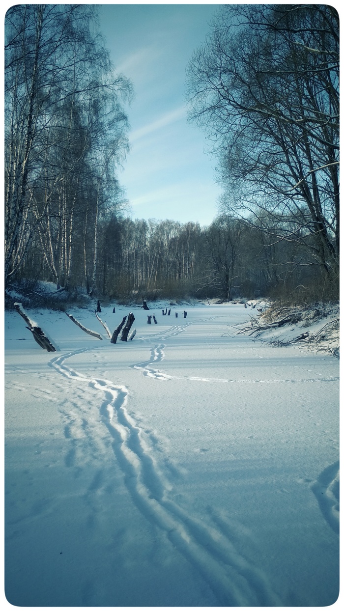 ������ ��������