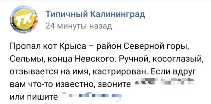 Кот, решивший, что хватит терпеть такую жизнь.