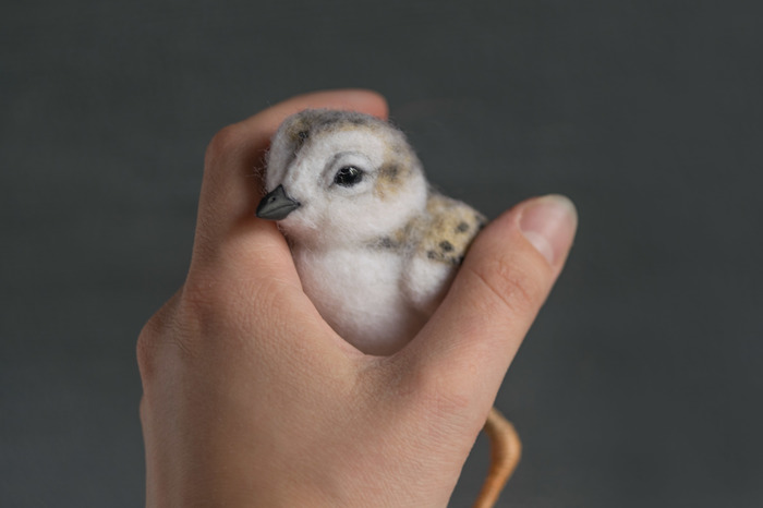 Felted plover. Finally the sand came in handy - My, Dry felting, Chick, Needlework without process, Longpost, Plover