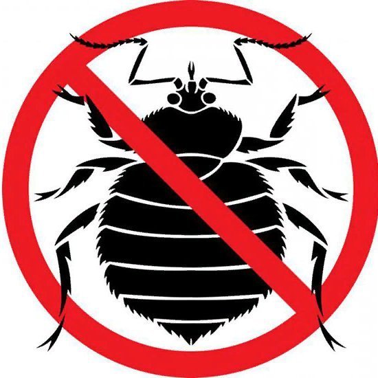 Battle with bedbugs - My, Bedbugs, Insomnia, Longpost