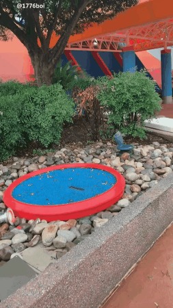 Поймал
