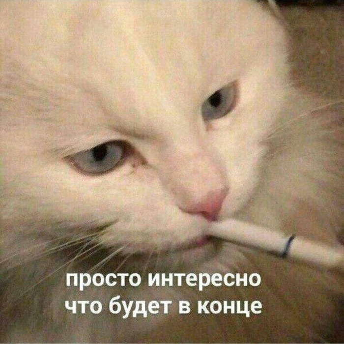 Про семейный быт