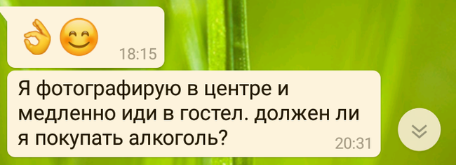 Трудности перевода - Моё, Россия, Швейцария, Путешествия, Русский язык, Иностранные языки, Иностранцы, Бред, Изучение языка, Длиннопост