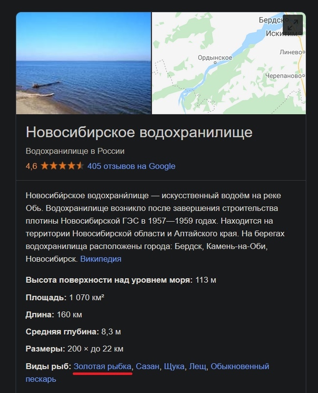 Жил старик со своею старухой. У самого синего моря. - Обское водохранилище, Золотая Рыбка, Скриншот