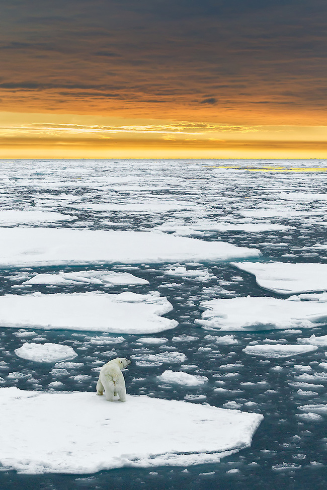 � ����� �� ������, ��� �� ����������