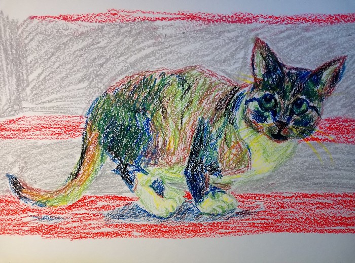 colorfulness - My, Drawing, cat, 