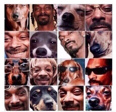 Snoop Dogg is awesome - Jenna marbles, Kermit the Frog, Snoop dogg