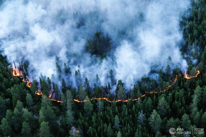 Fire in Siberia - Siberia, Fire, Forest, Catastrophe, Video, Longpost, Forest fires