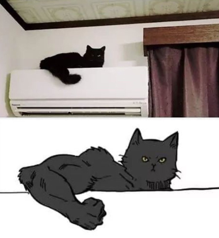 ! ,  
