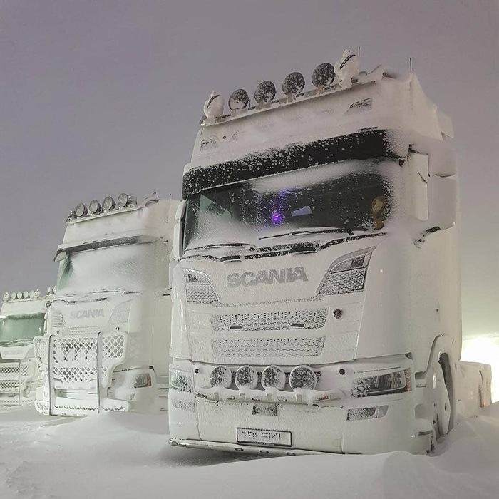 Шведские снежные королевы - Scania, Снежное, Снег