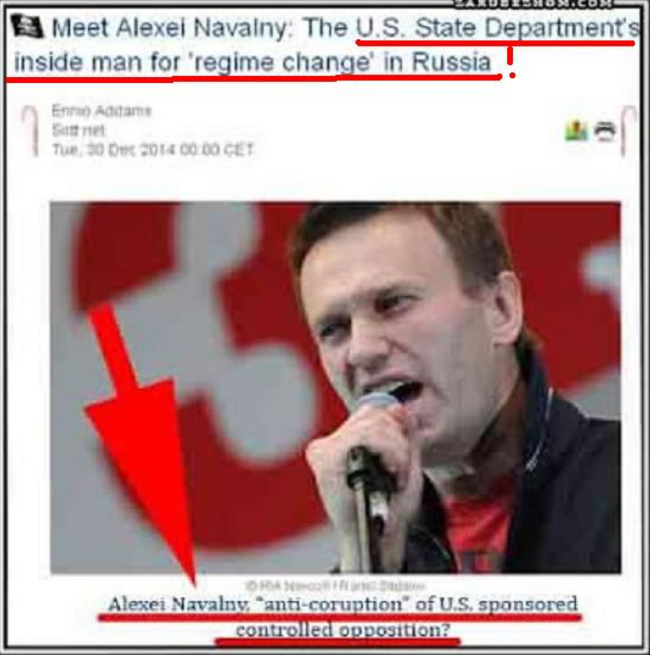 How much would Navalny receive in the US itself? - Alexey Navalny, Politics, Rally