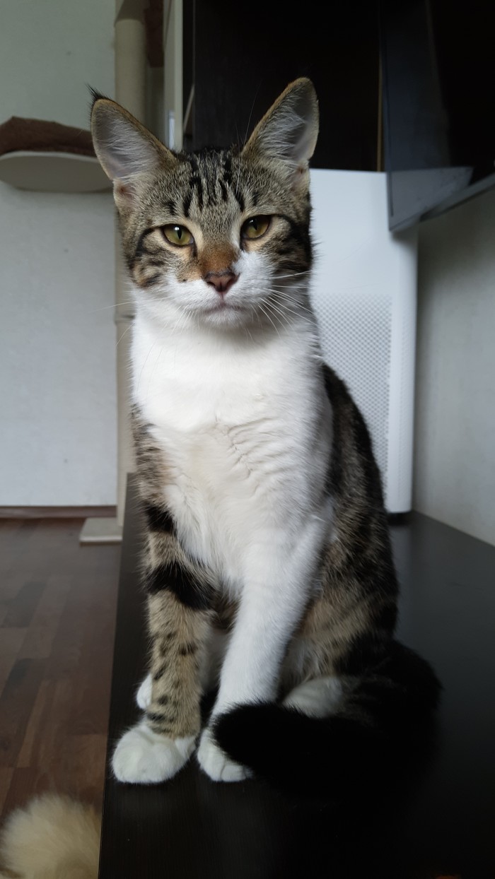   , , , -, , 