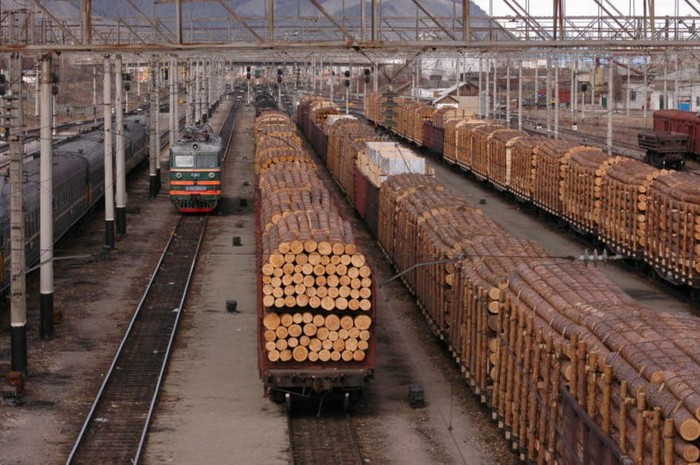 Спасаем сибирскую тайгу от пожара...