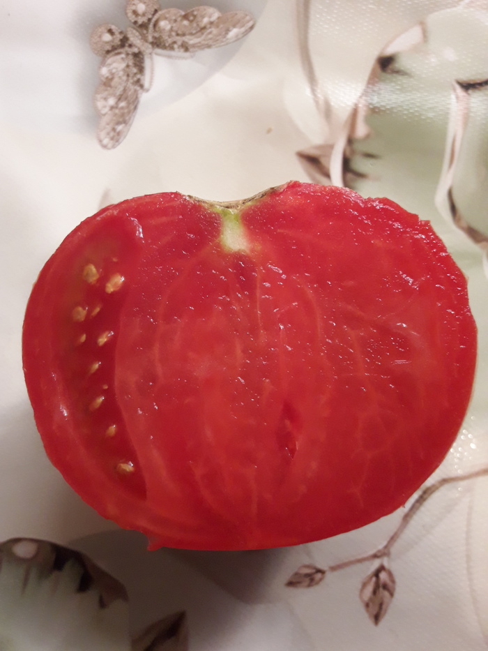 ���������.