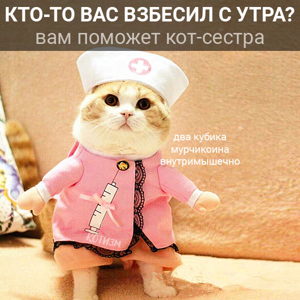 Нет безвыходных ситуаций. Есть коты. - Моё, Кот, Абсурдный юмор, Картинка с текстом, Длиннопост, Странный юмор