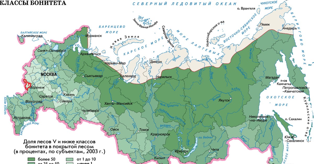 Где находится хвойный. Карта плотности лесов России. Карта лесного хозяйства России. Площадь лесов России на карте. Типы лесов в России карта.