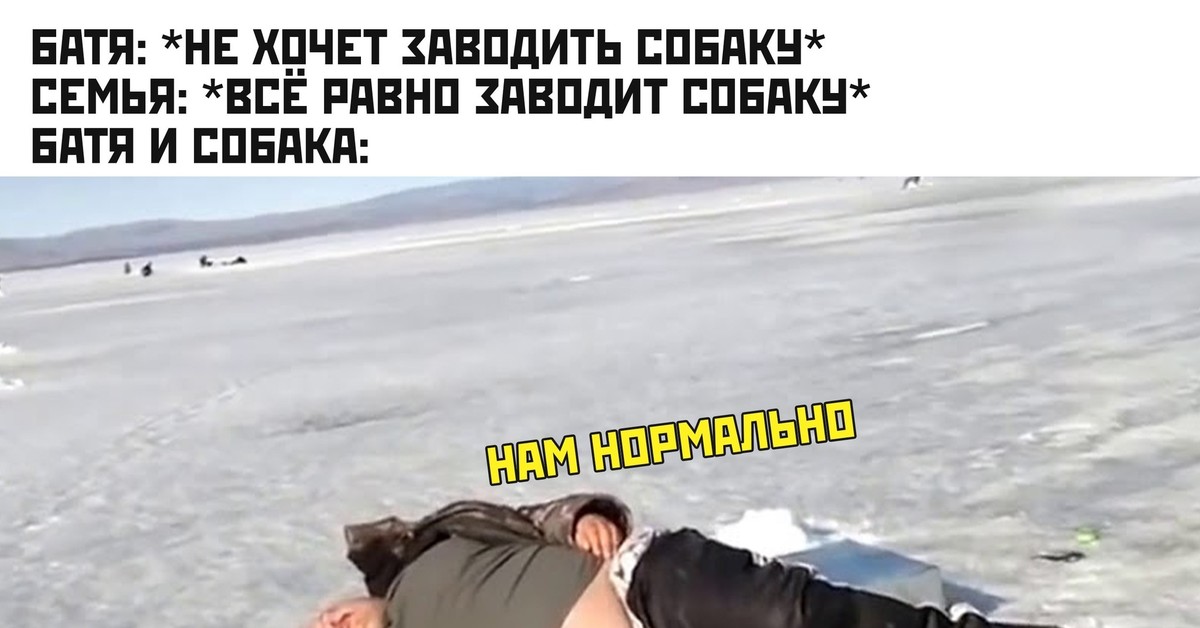 Батя не хочет заводить кота мем Мем Пикабу