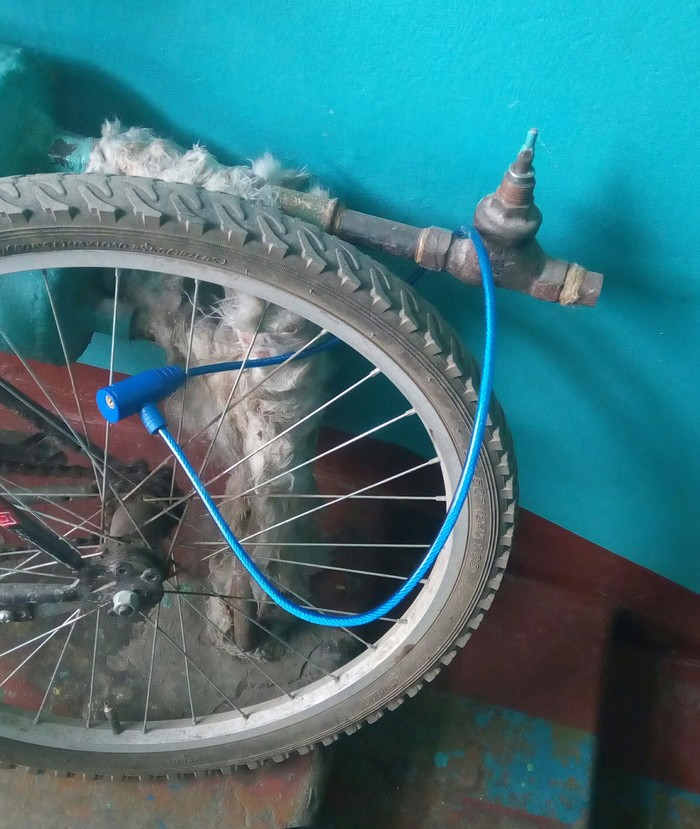 ���������.