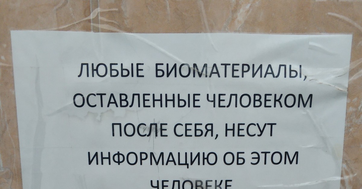 Чтоб держалась. Надпись туалет. Забавные надписи в туалете. Надпись над унитазом. Смешные объявления в туалете.