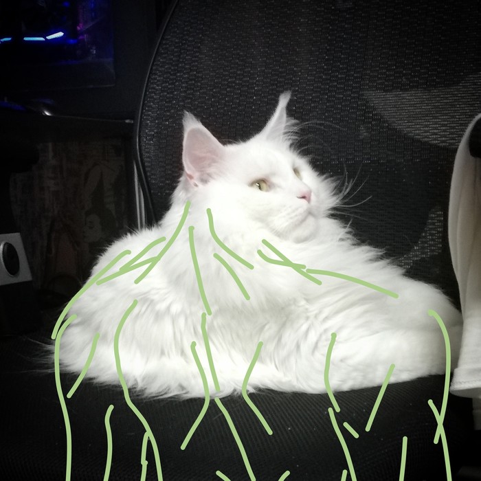 Когда фантазия сработала, а реализация хромает