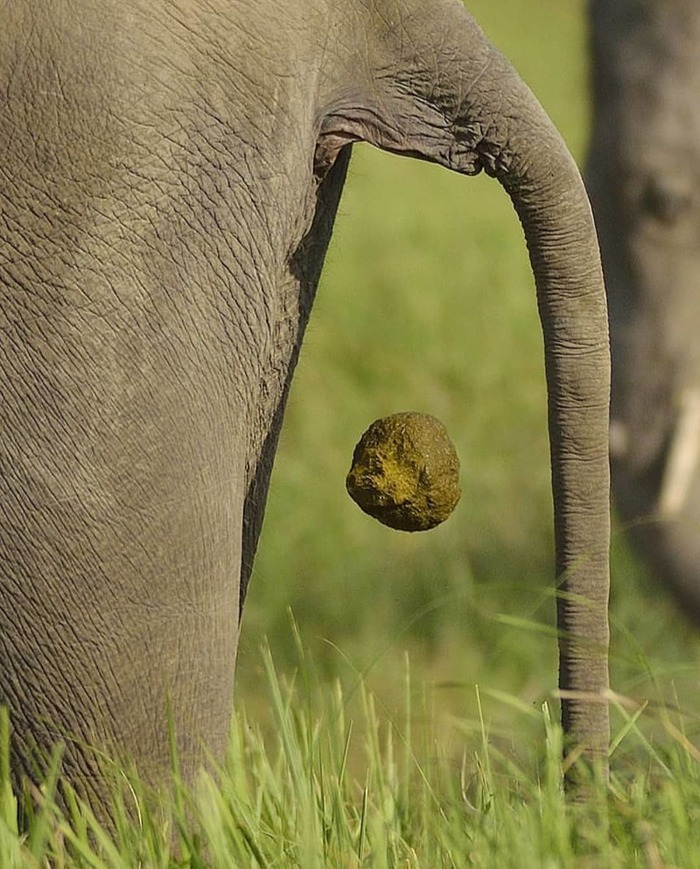 �� ������ ������ �����������.