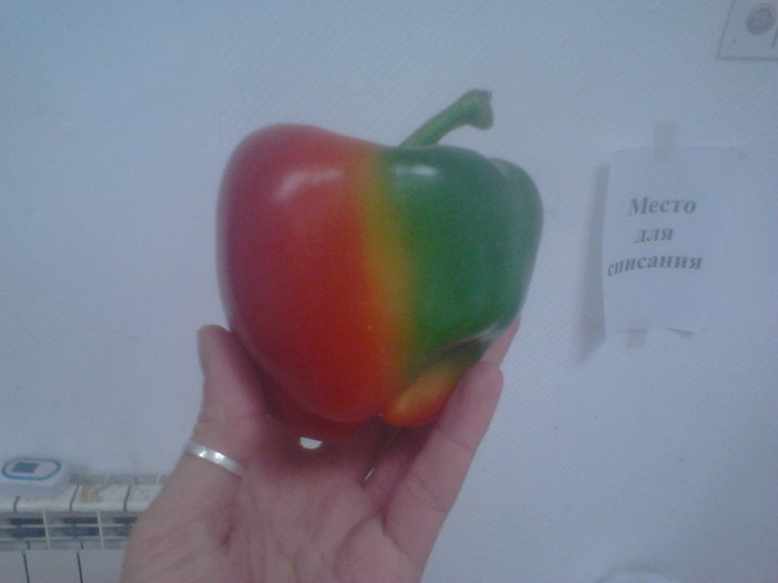 ������� ���������� ����� ��������