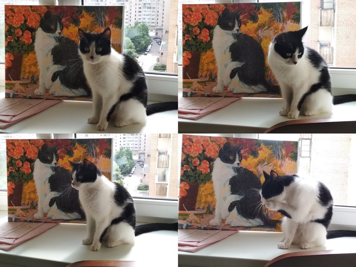 Жалкая копия и неповторимый оригинал