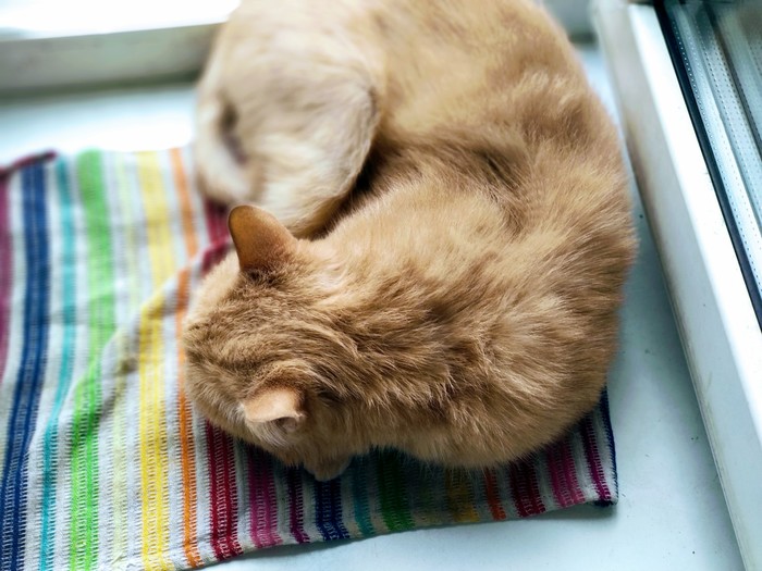 ��������-������� �������