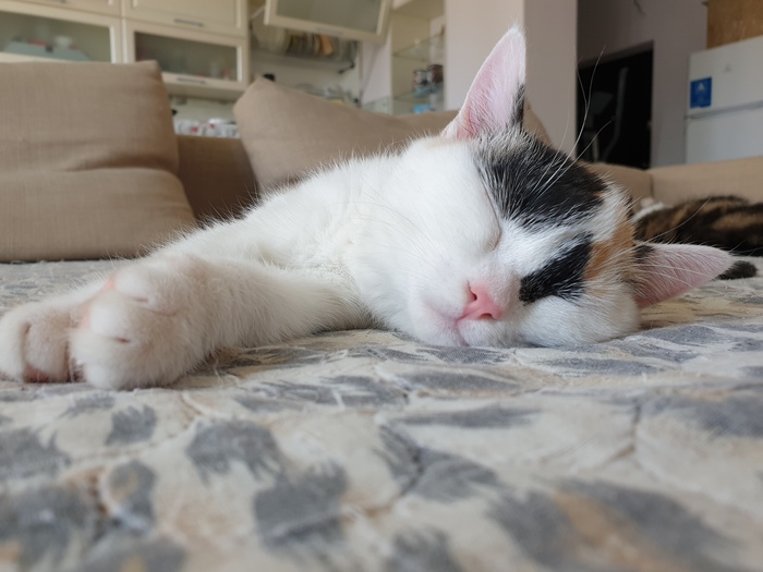      ,   , , , -, 