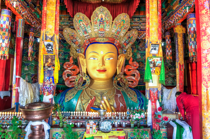 Start your morning with a puja! - My, Tibet, India, Ladakh, Buddhism, Travels, Video