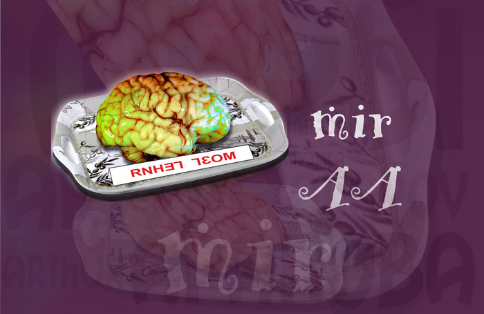 brain store - My, Brain, Story, Humor, Mystic, Unreal, Fantasy, Score, Story, Longpost
