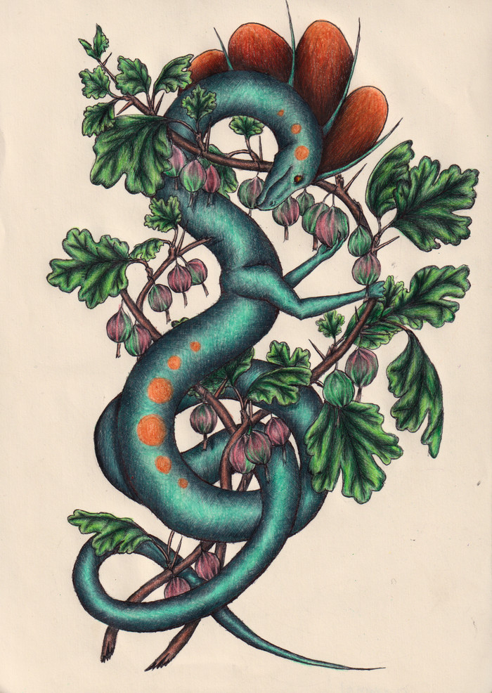 Dragon and... - My, Drawing, The Dragon, Colour pencils, Ball pen, Longpost, Illustrations, Plants, Flowers, Fantasy