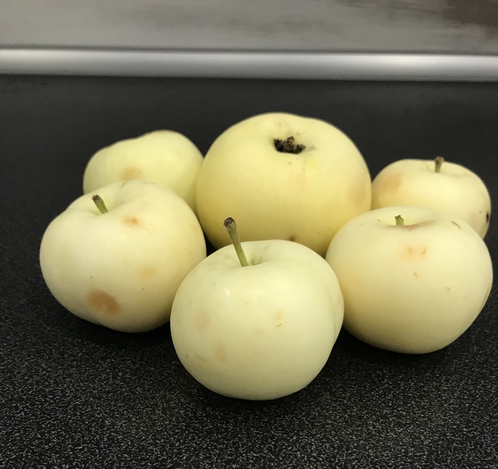 ���� �� ������ �� �������. ���� ������)