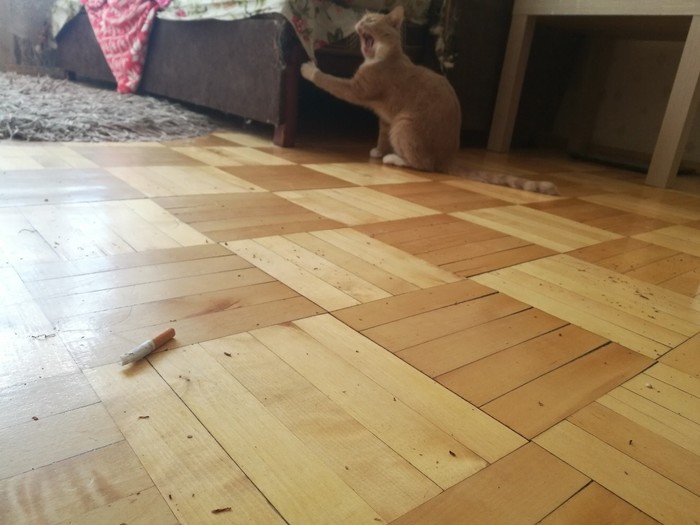 ��� � ��� �������� ���������. � ���� �����, �������!)))