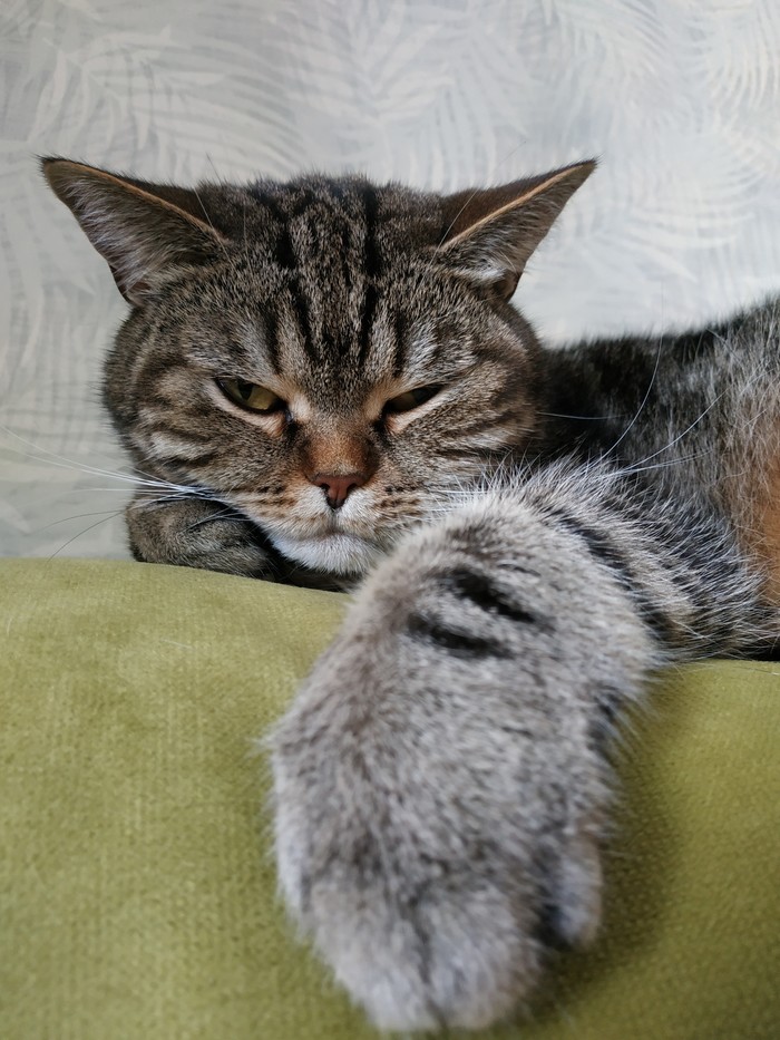 Праздничное)