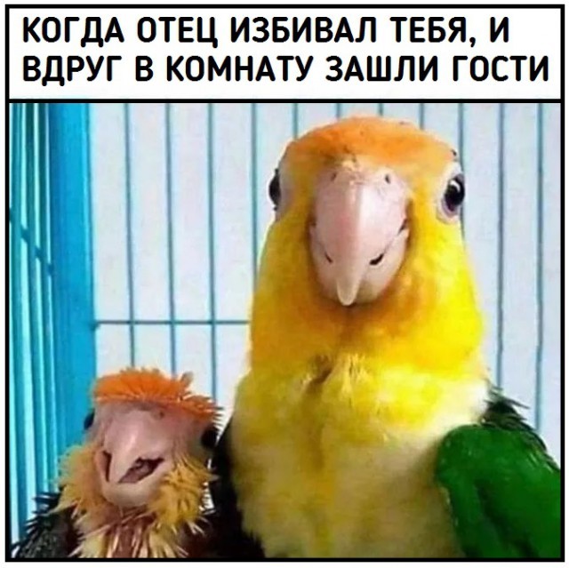 Чёрный вечер пятницы | Пикабу