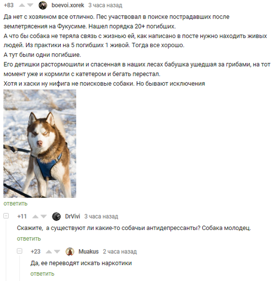 Canine antidepressants - Comments on Peekaboo, Dog