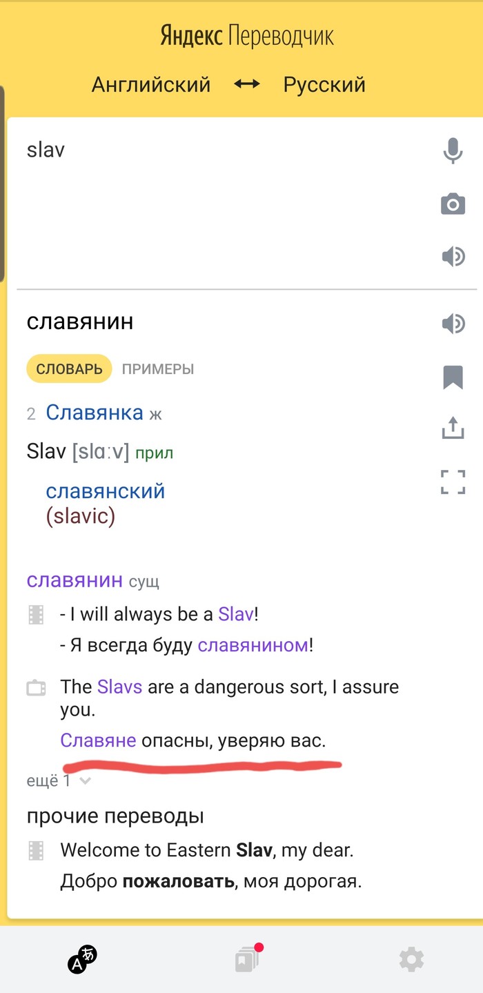 Caution Slavs. - My, Yandex translate, Slavs
