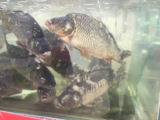 Sick fish in OK - My, Supermarket, Krasnodar, Shop Okay, A fish