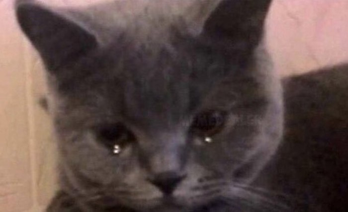 ,   .  .