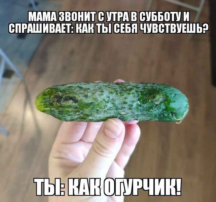 мем про огурцы на грядке. Смотреть фото мем про огурцы на грядке. Смотреть картинку мем про огурцы на грядке. Картинка про мем про огурцы на грядке. Фото мем про огурцы на грядке