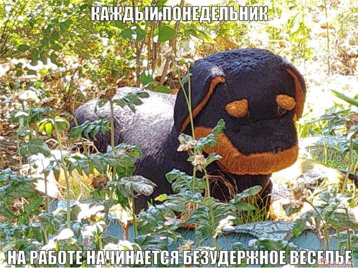 Очередной понедельник