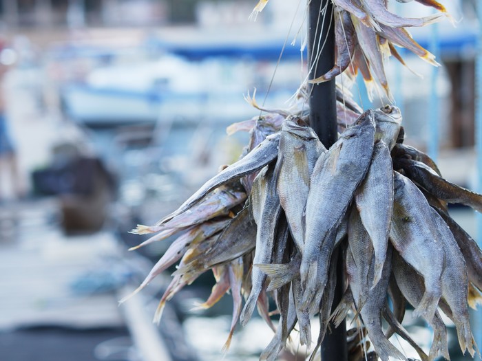 Балаклавская рыбка